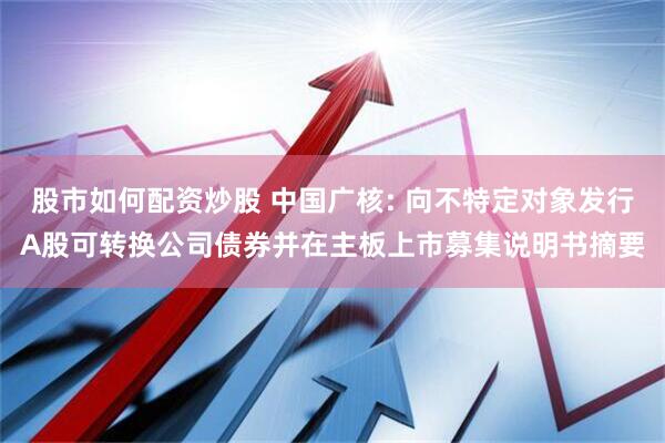 股市如何配资炒股 中国广核: 向不特定对象发行A股可转换公司债券并在主板上市募集说明书摘要