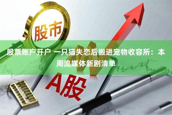 股票账户开户 一只猫失恋后搬进宠物收容所：本周流媒体新剧清单